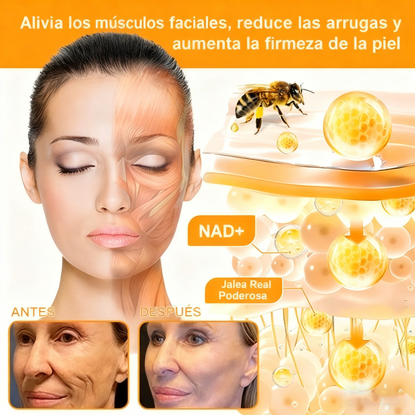 Crema restauradora de la piel con veneno de abeja Cleansing® aprobada por la FDA — 🔥70 % de descuento por tiempo limitado🔥